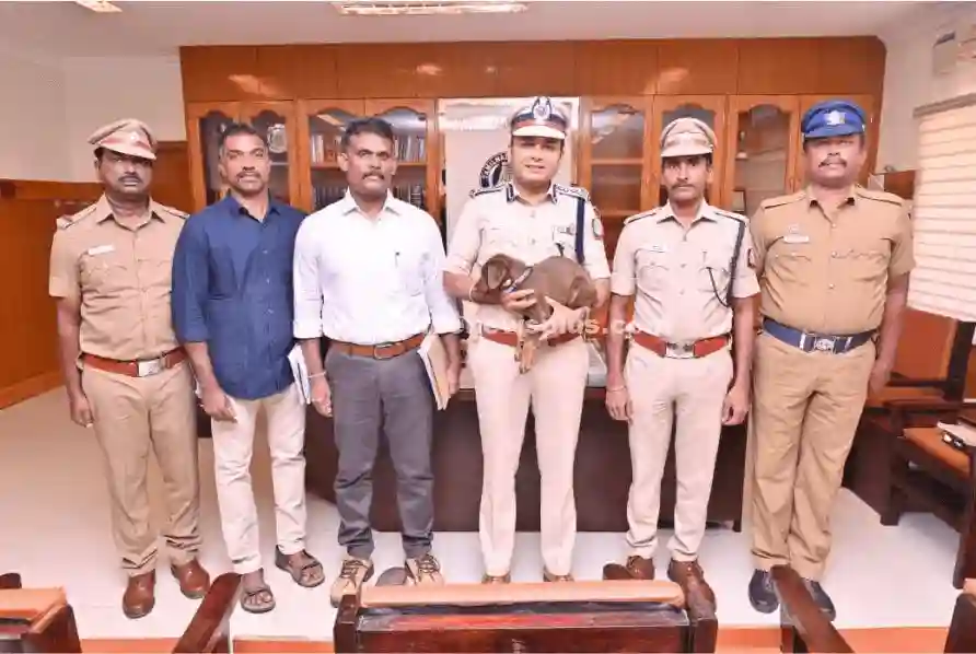 New Puppy Joins Police Squad