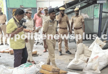 Over 825 Kg Ganja Destroyed
