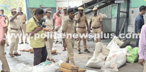 Over 825 Kg Ganja Destroyed
