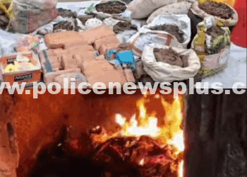 Dibrugarh Police Destroy Seized Narcotics