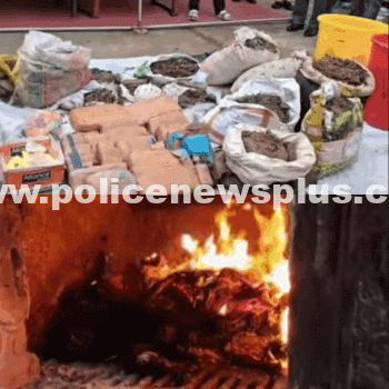 Dibrugarh Police Destroy Seized Narcotics