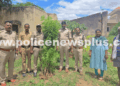 Excise Officials Bust Marijuana Cultivation