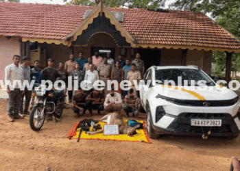 Wildlife Poachers Arrested, Weapons Seized