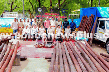 AP Police Seize Red Sanders
