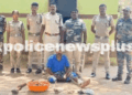 Deer Antlers, Pangolin Scales Seized; Arrest