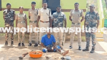 Deer Antlers, Pangolin Scales Seized; Arrest