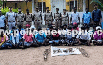 26 Fined ₹3.38 Lakh for Hunting Rabbit
