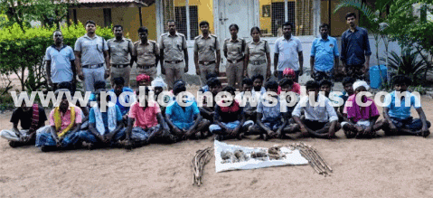 26 Fined ₹3.38 Lakh for Hunting Rabbit