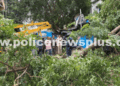 Police Clear Trees, Restore Highway Traffic