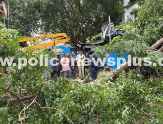 Police Clear Trees, Restore Highway Traffic
