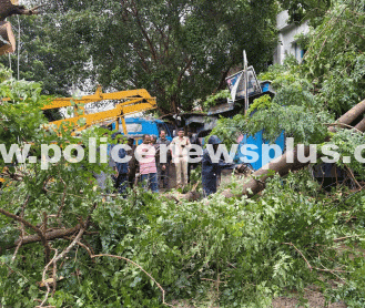 Police Clear Trees, Restore Highway Traffic