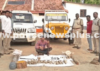 Estate Worker Arrested for Poaching Wildlife