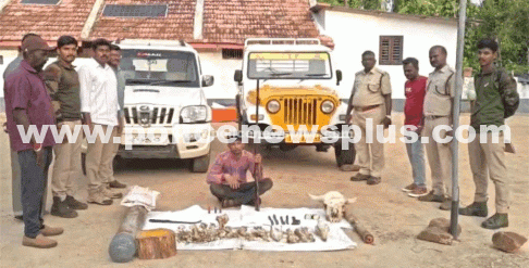 Estate Worker Arrested for Poaching Wildlife